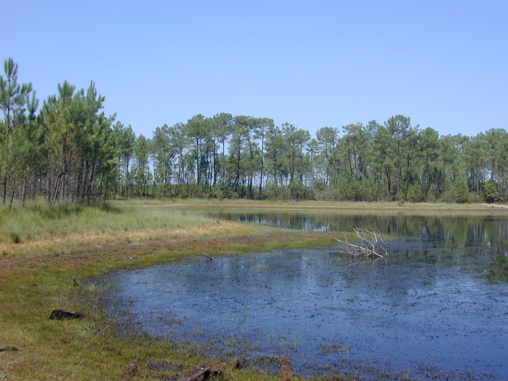 lagunes du Gat-mort