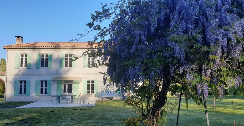 glycine devant une maison