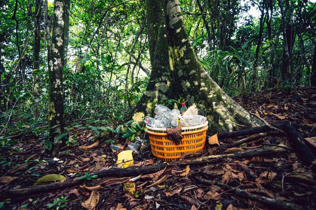 déchets en foret